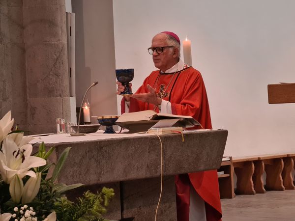 Franz Josef Meinrad Merkel, CSSp